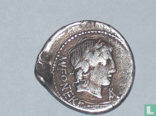Romeinse Republiek - Fonteius - 85 B.C. - Afbeelding 1