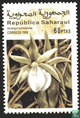 Orchideeën - Saharaui
