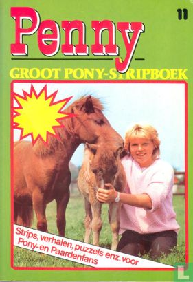 Groot pony-stripboek 11 - Afbeelding 1