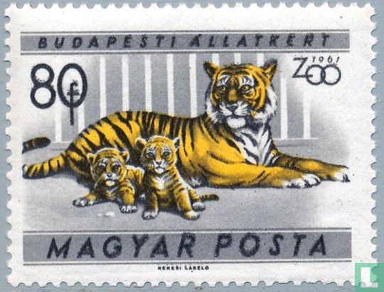 Tiger mit Jungen im Zoo der Hauptstadt.