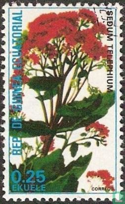 Fleurs