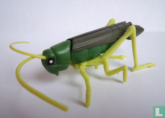 Grasshopper - Afbeelding 1