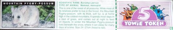 Mauntain Pygmy-Possum - Afbeelding 2