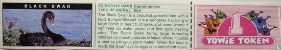 Black Swan - Image 2