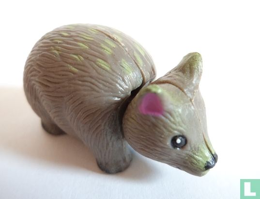 Wombat - Image 1