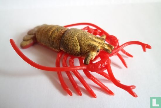 Spiny Lobster - Afbeelding 1