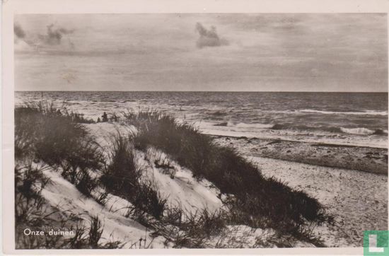 Onze duinen - Image 1
