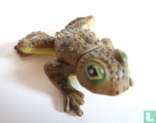 Platypus Frog - Afbeelding 1
