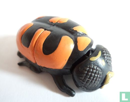 Jewel Shield Beetle