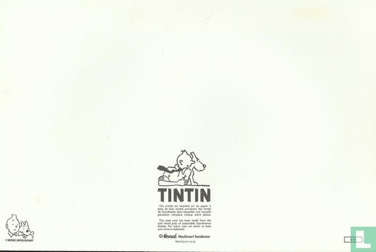 Tintin 016 - Afbeelding 2