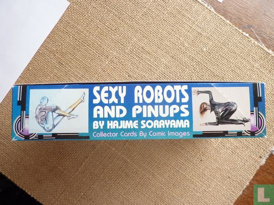 Box voor Sexy Robots and Pin Ups - Afbeelding 3