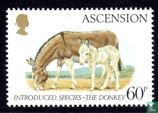 Eingeführten Tiere