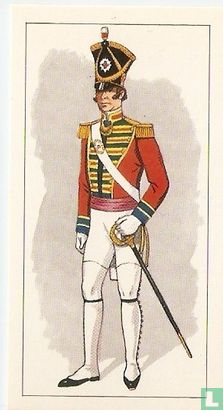 Coldstream Guards , Colonel, Court Guard Order, 1820