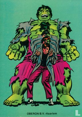 De verbijsterende Hulk 5 - Afbeelding 2