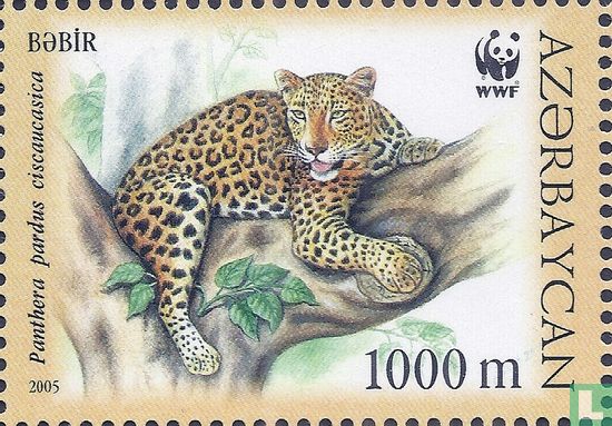 WWF-Kaukasische Leopard