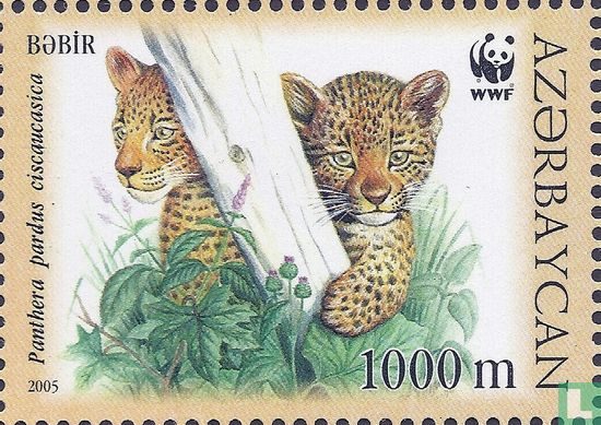 WWF-Caucasian Leopard
