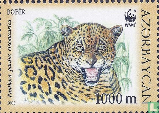 WWF-Caucasian Leopard