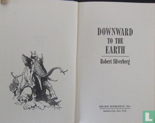 Downward to the earth - Image 3
