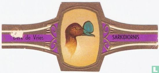 Sarkidiornis - Afbeelding 1