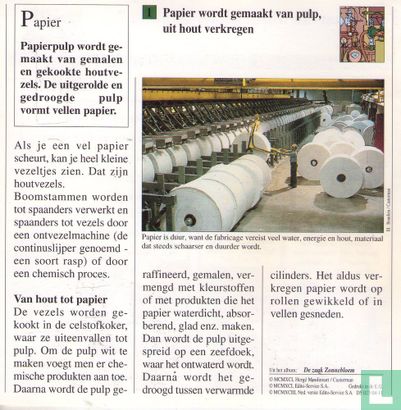 Wetenschap en Techniek: Waarvan wordt papier gemaakt? - Image 2