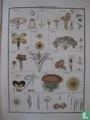 Dictionnaire elementaire de Botanique - Image 3