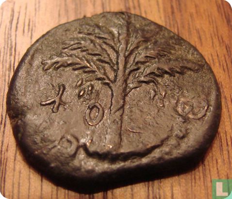 Judea AE munt van Sjimon Bar Kochba Tweede Joodse Opstand 134-135 n.Chr. - Afbeelding 1