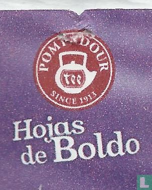 Hojas de Boldo   - Afbeelding 3