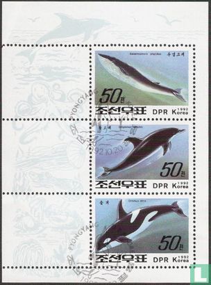 Baleines et des Dauphins 
