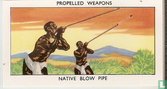 Native Blow Pipe.