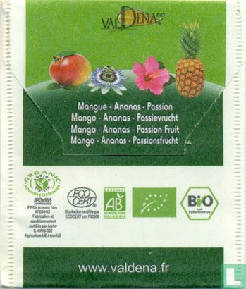 Mangue-Ananas-Passion - Image 2