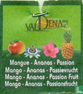 Mangue-Ananas-Passion - Bild 3