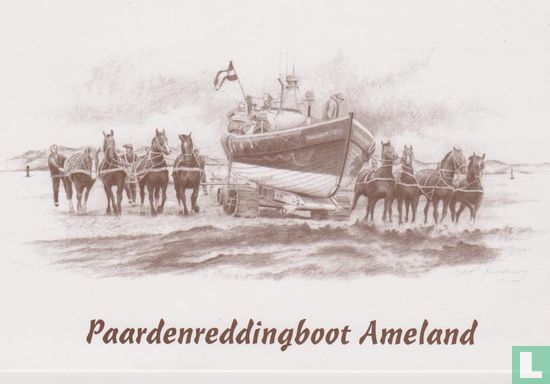 Paardenreddingboot Ameland - Bild 1