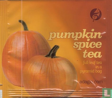 pumpkin spice tea - Afbeelding 1
