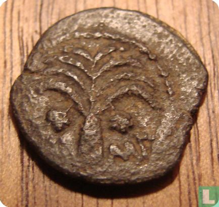Judea, AE Prutah, 9-12 AD, Procuratoren, Marcus Ambibulus onder Augustus, Jeruzalem, 11 AD - Image 2