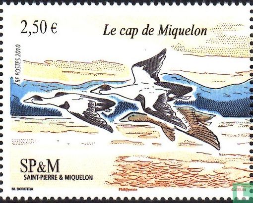 Das Kap von Miquelon 