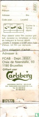 Carlsberg Beer - Haeltermans - Image 2
