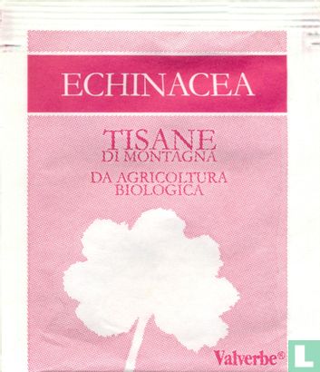 Echinacea - Bild 1