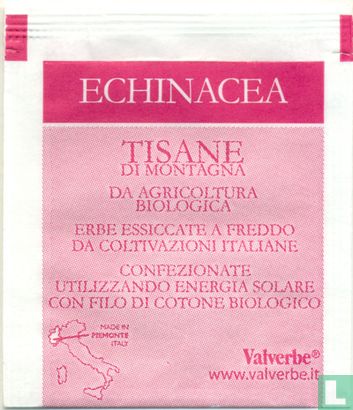 Echinacea - Afbeelding 2