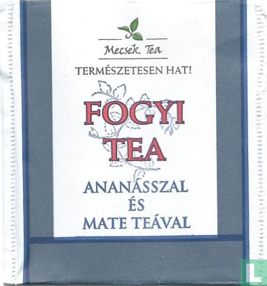 Fogyi Tea - Image 1