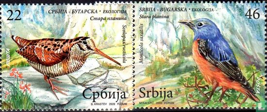 Vögel des Balkans