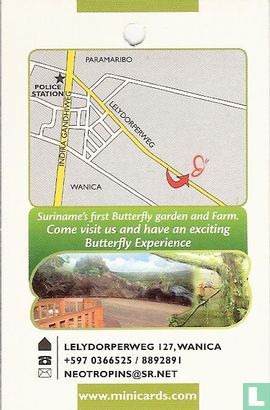 Butterfly Garden - Image 2