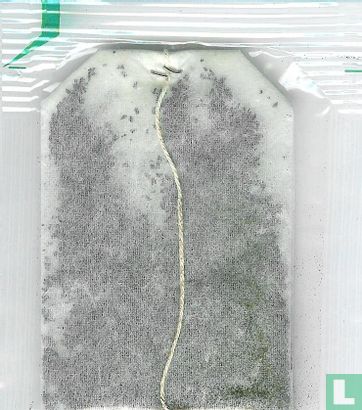 Tropical - Image 2