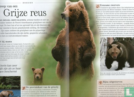 Grizzlybeer - Image 3