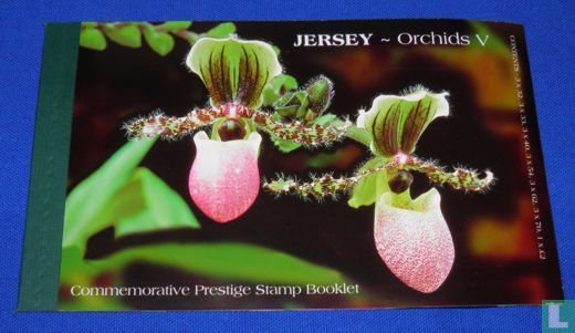 Orchidées de 2004 (JER 239)