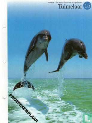 Dieren: Dolfijnen - Image 1
