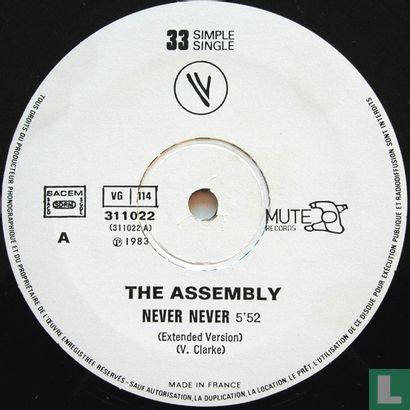 Never never (12 inch) - Image 3