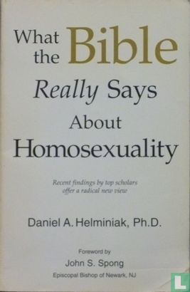 What the bible really says about homosexuality - Afbeelding 1