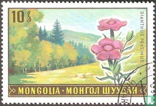 Mongoolse flora 