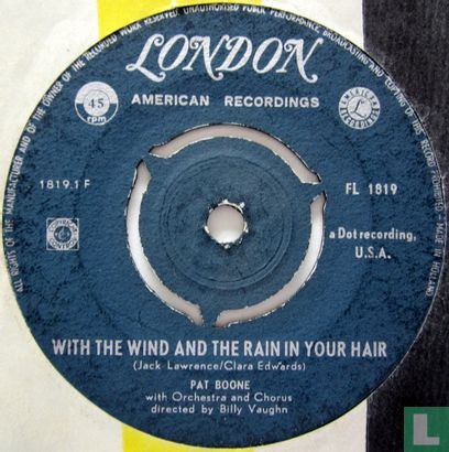 With the Wind and the Rain In Your Hair - Image 1