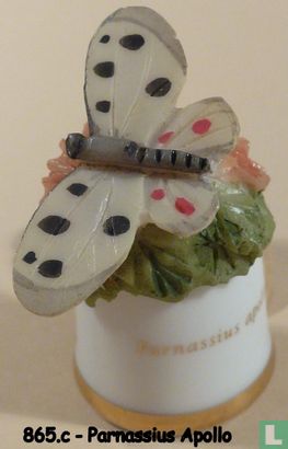 Vlinder - Parnassius Apollo - Image 2